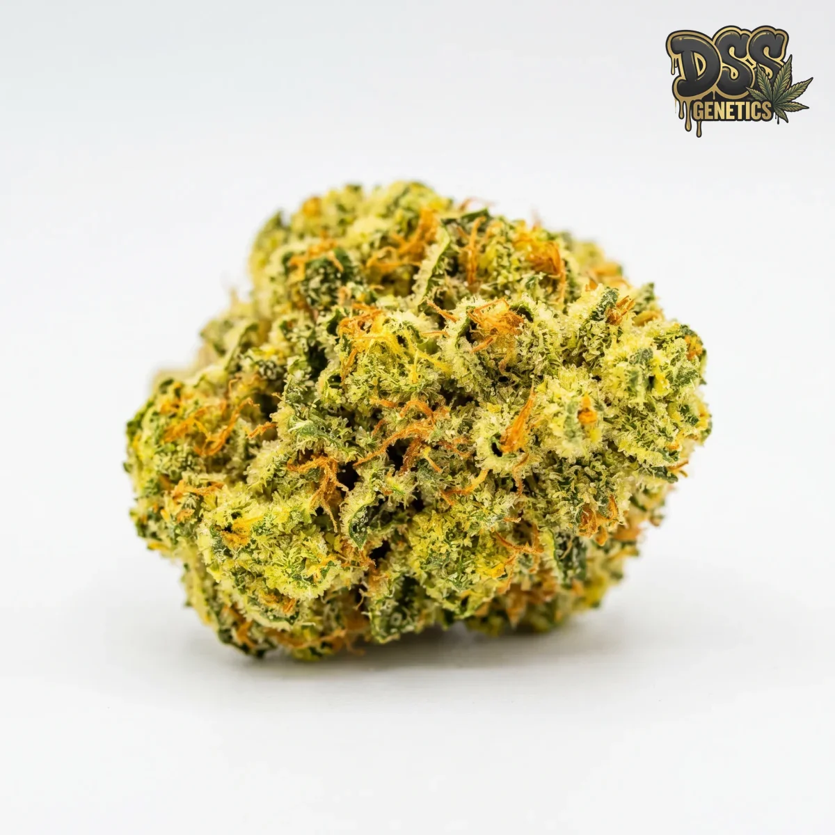 Lemon Skunk grow guide