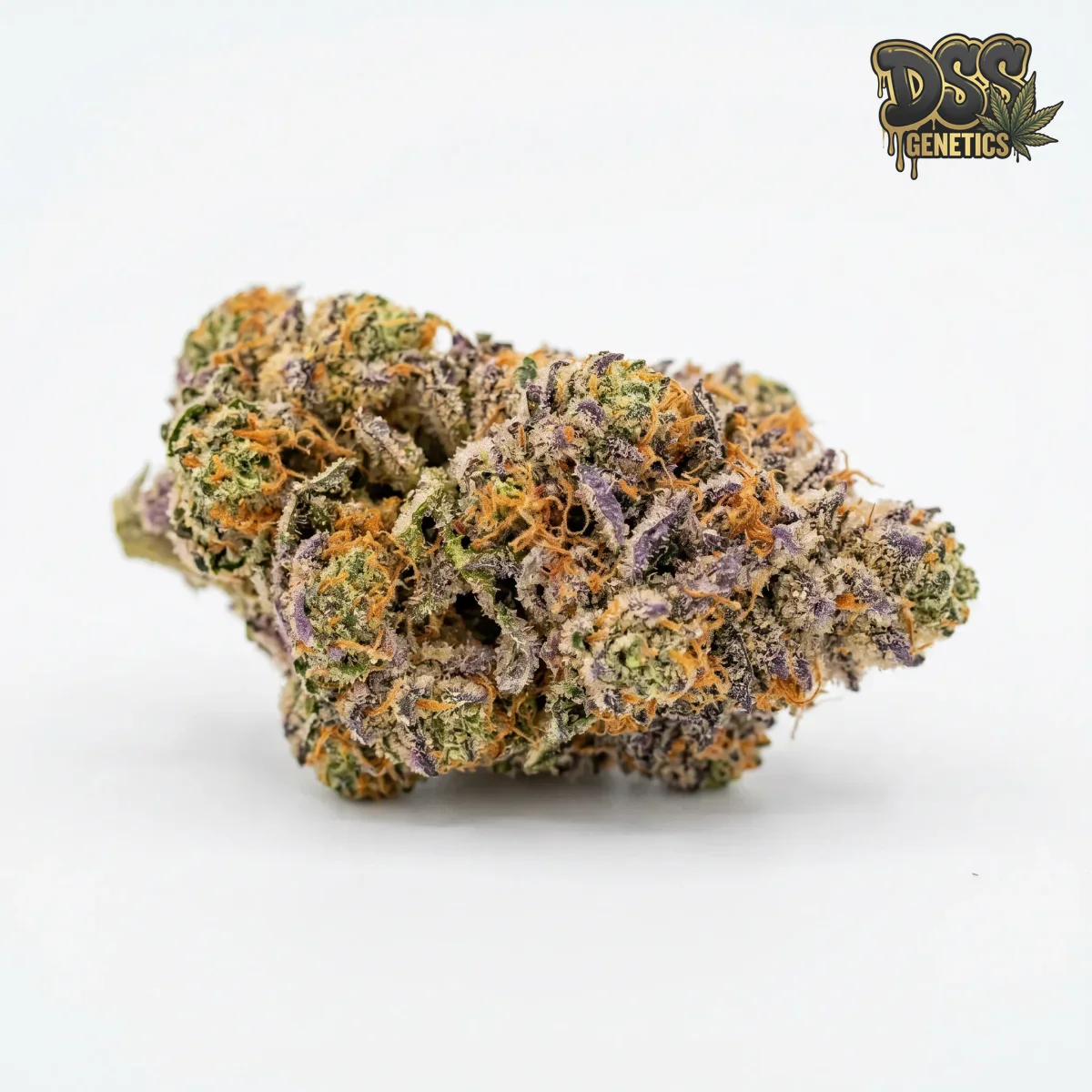 Mimosa Feminized Seeds cannabis seeds