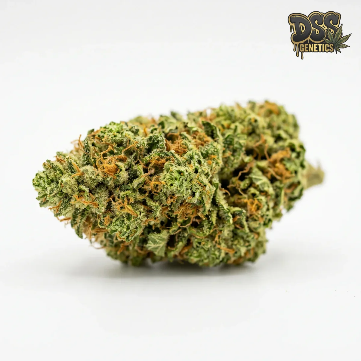 NYC Diesel grow guide