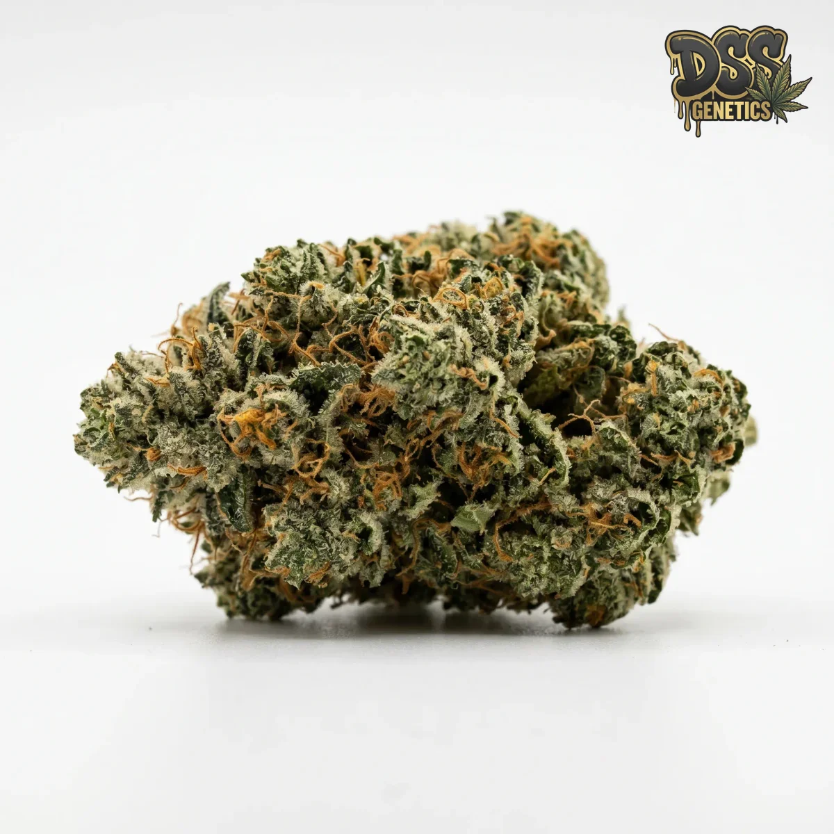 Nemesis grow guide