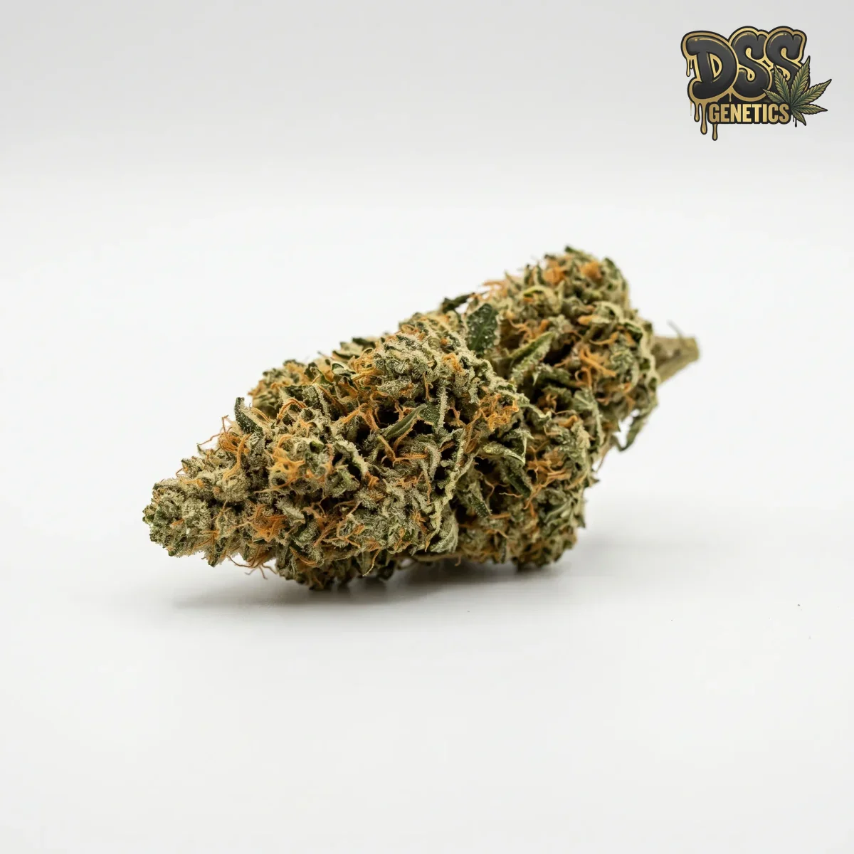 Northstar grow guide