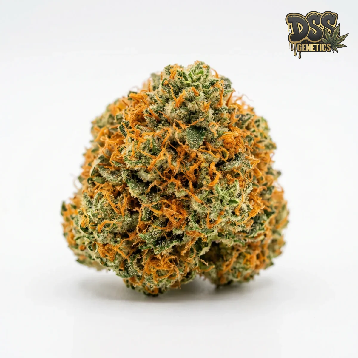 Orange Bud grow guide