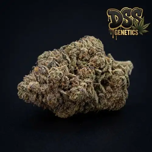 Peanut Butter Breath Feminized Seeds cannabis seeds