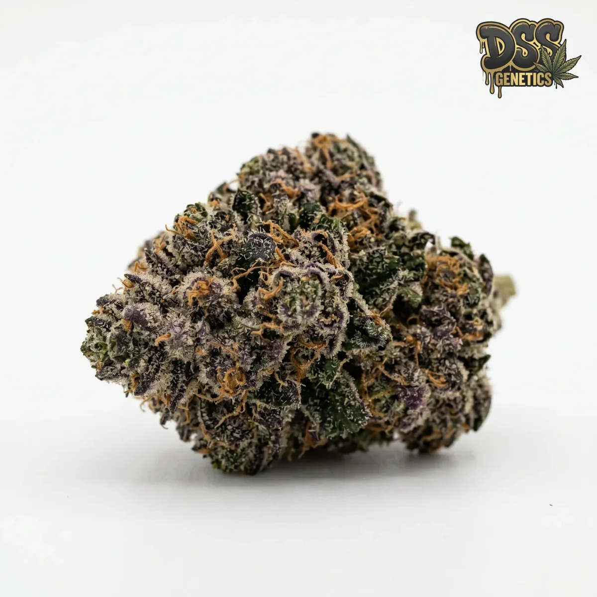 Phantom Cookies grow guide