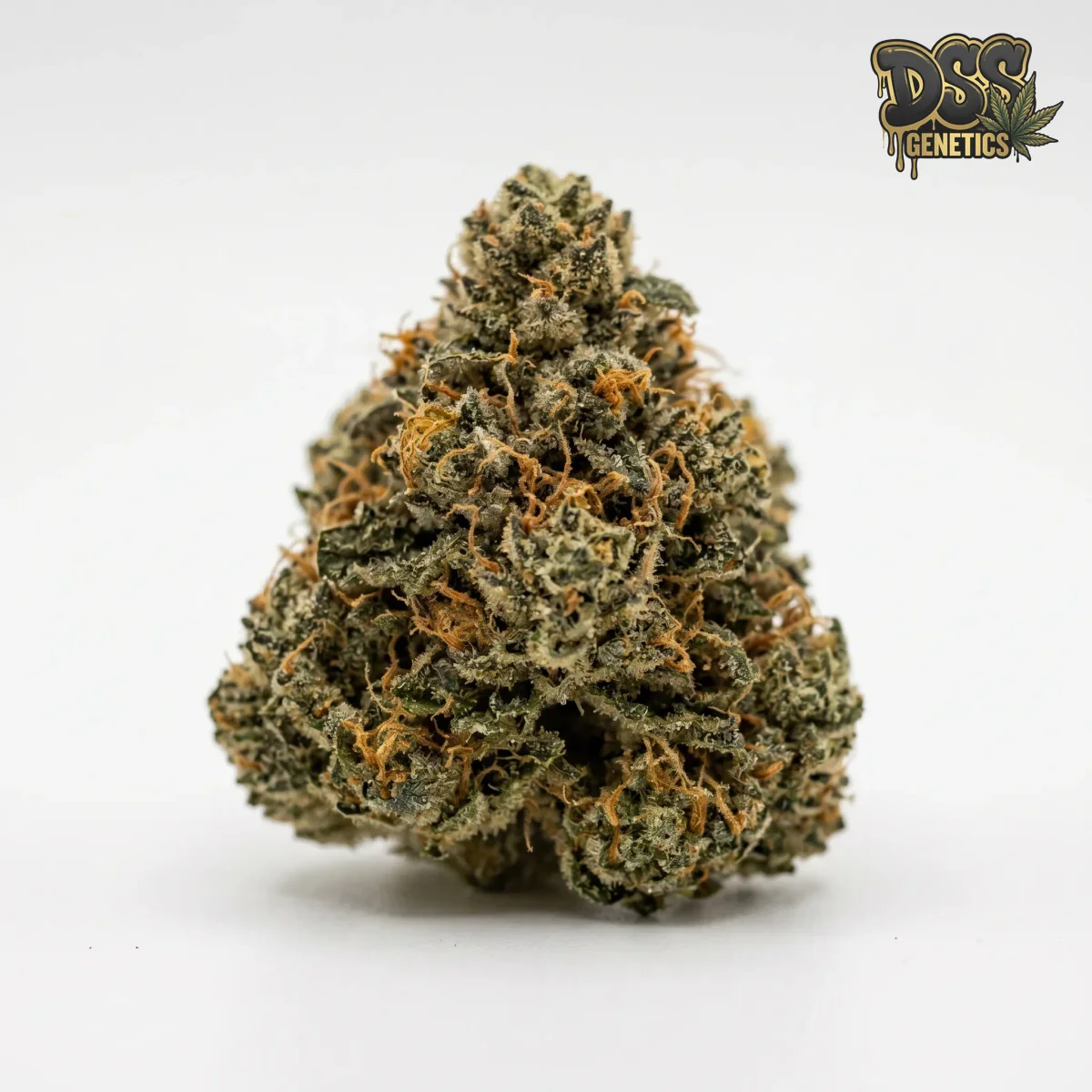 Pineapple Kush grow guide