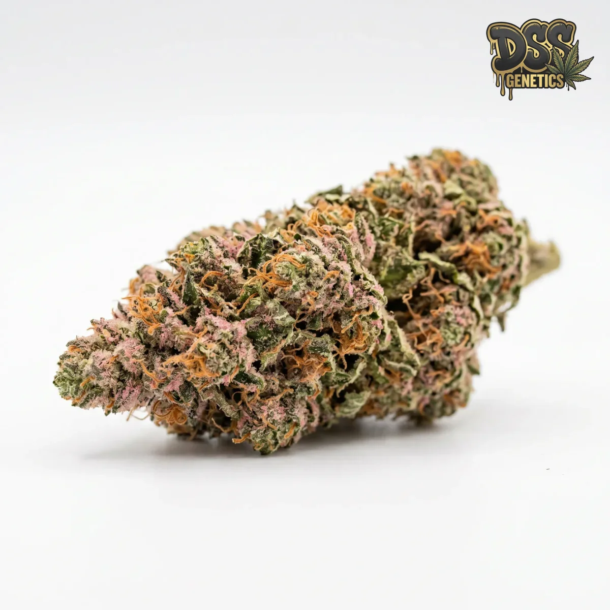 Pink Panther grow guide