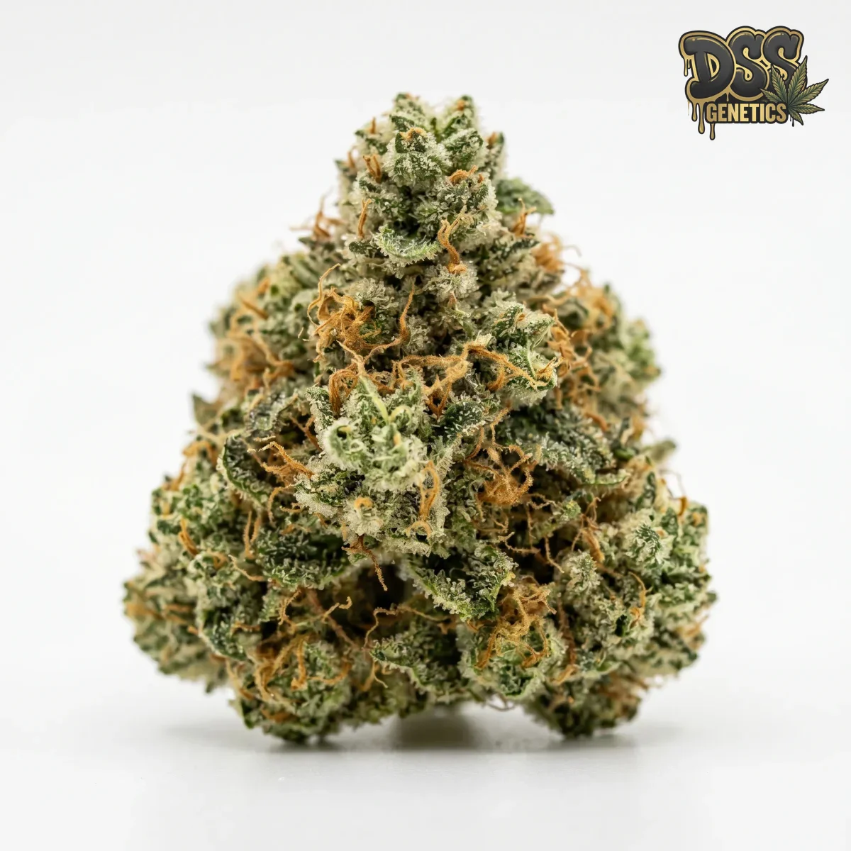 Psychosis grow guide