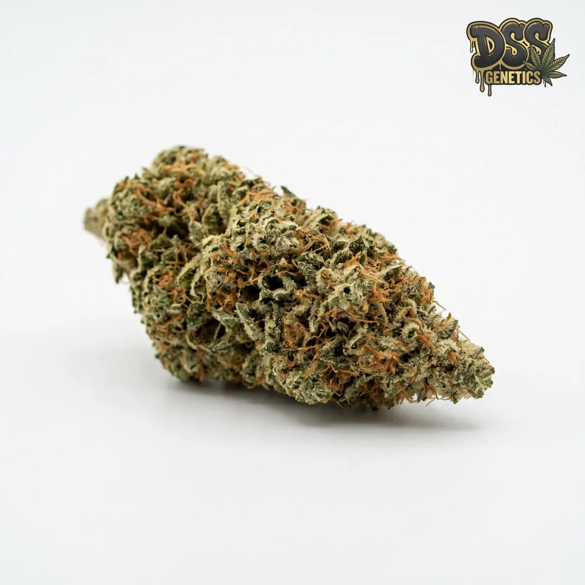 Pure Power Plant grow guide