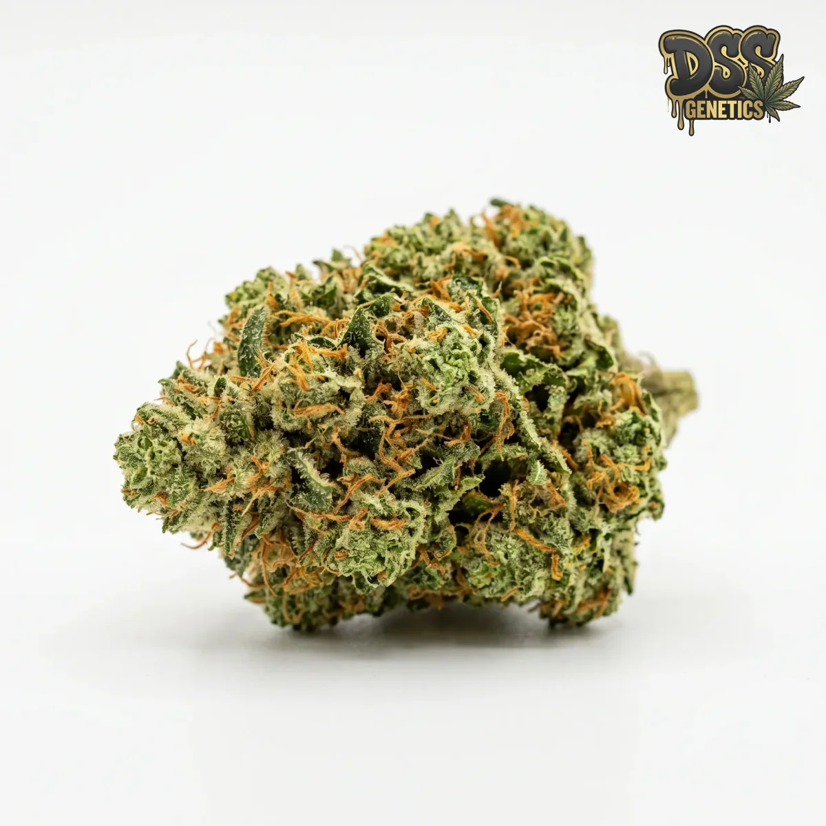 Skunk #1 grow guide