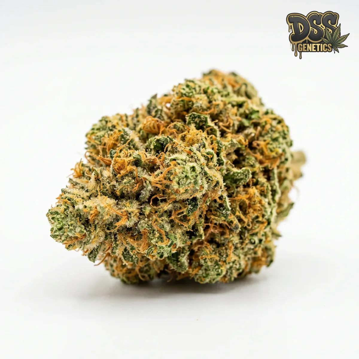 Somango grow guide