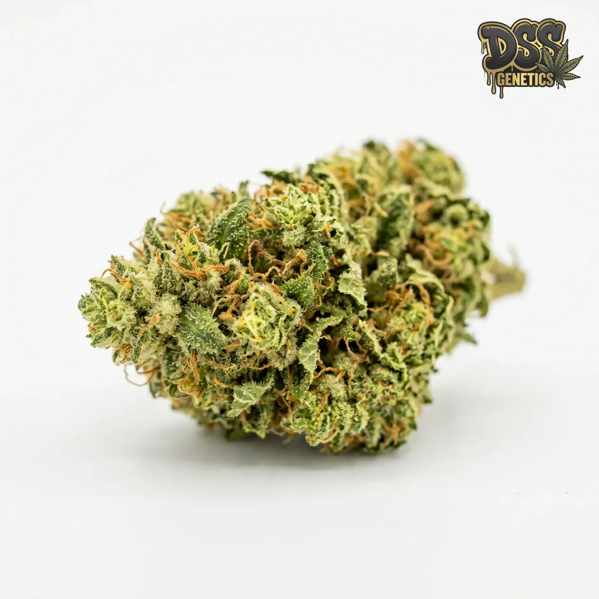 Sour Tsunami grow guide