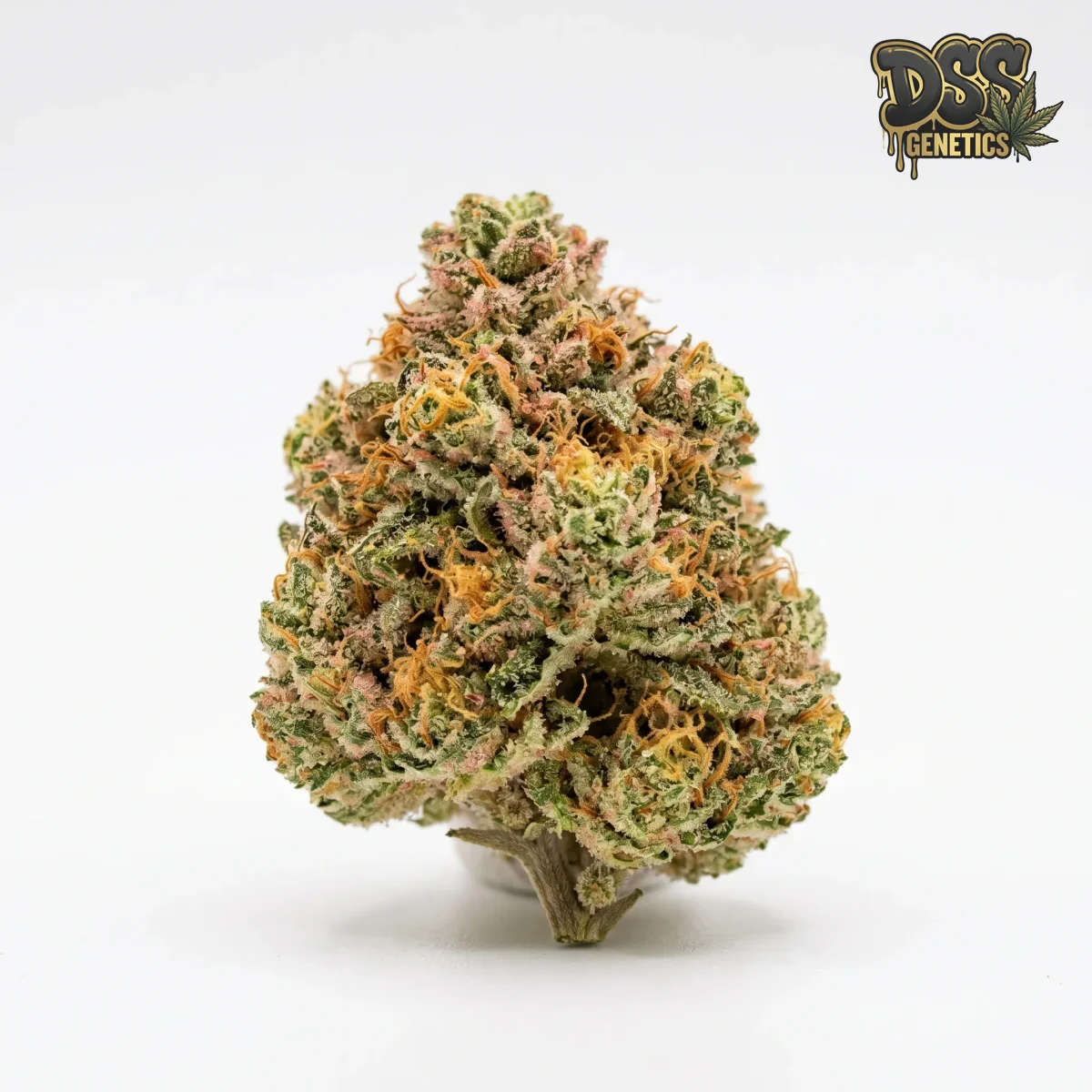 Strawberry Banana Feminized Seeds cannabis seeds