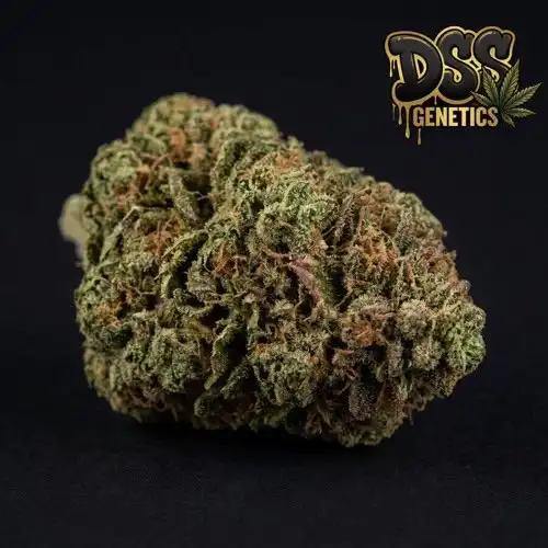 Strawberry Kush Feminized Seeds cannabis seeds