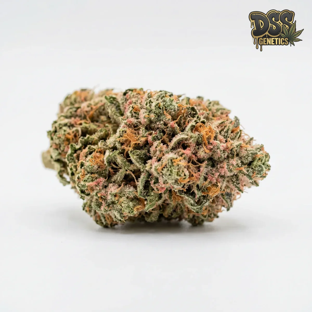 Strawberry Kush grow guide
