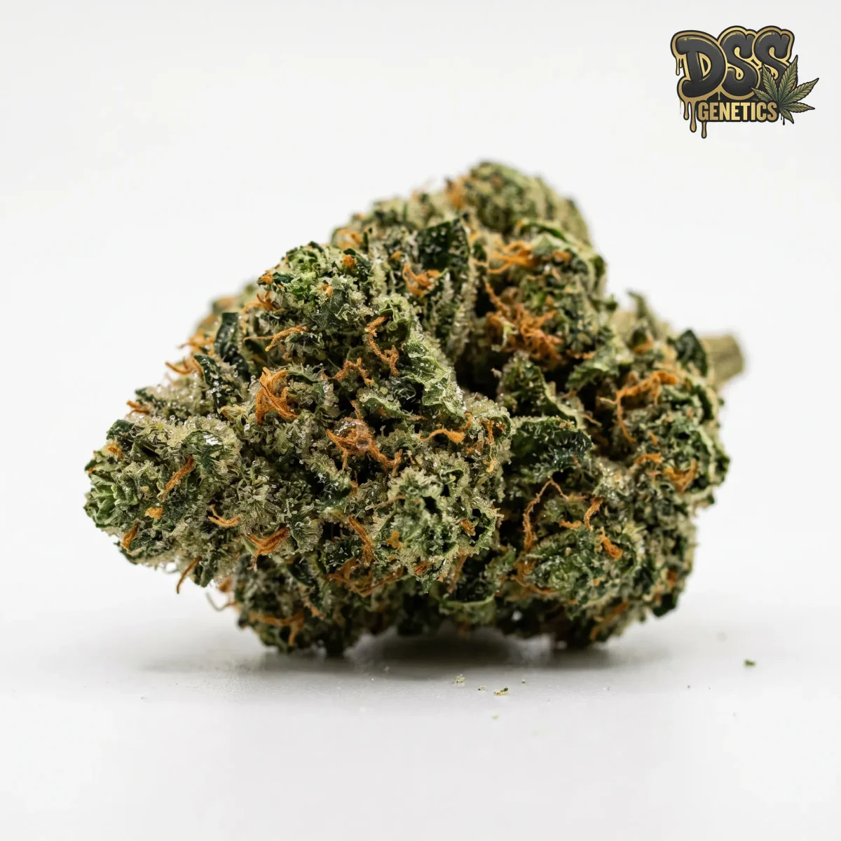 Super Glue grow guide