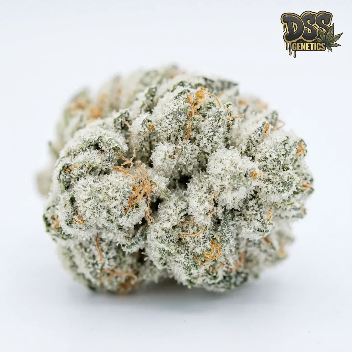 Super Ice grow guide