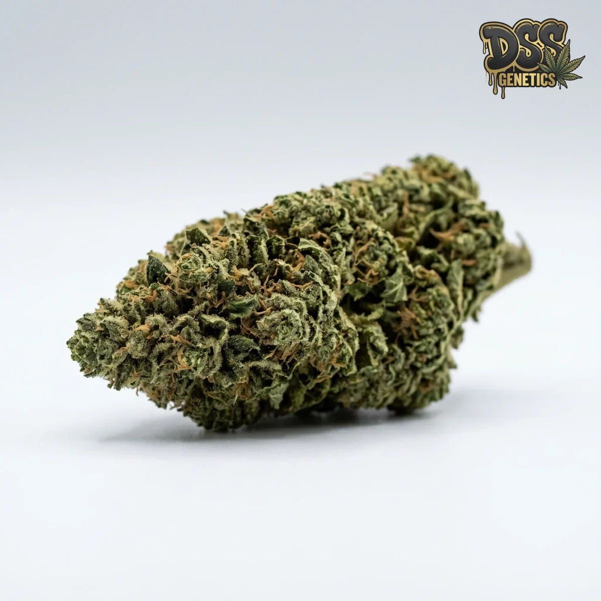 Swazi grow guide