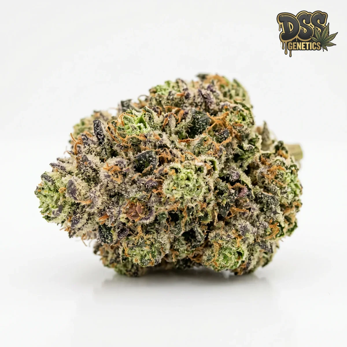 Sweet Tooth grow guide