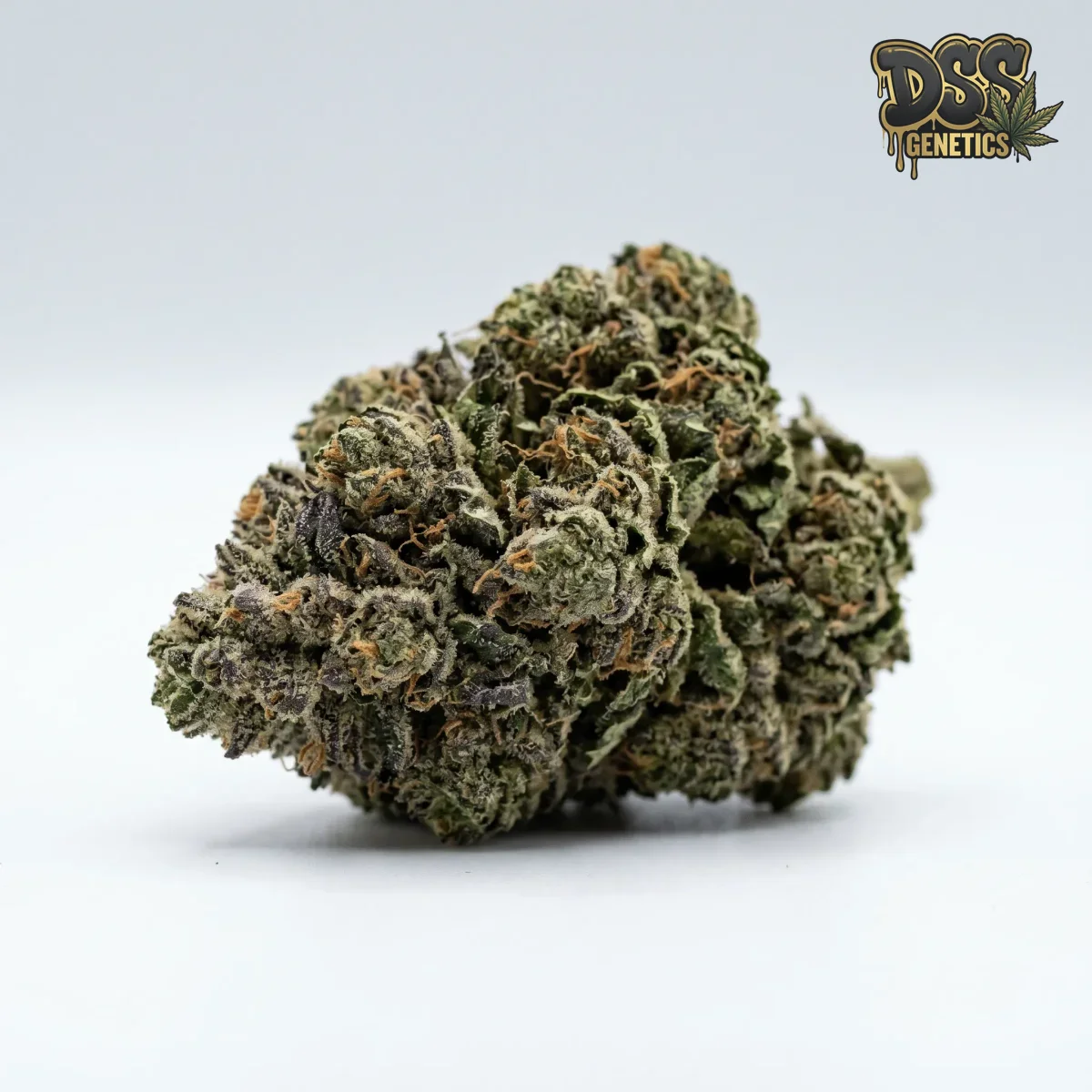 Swiss Miss grow guide