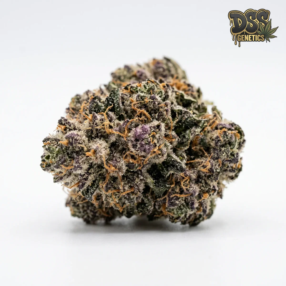 Tahoe OG grow guide