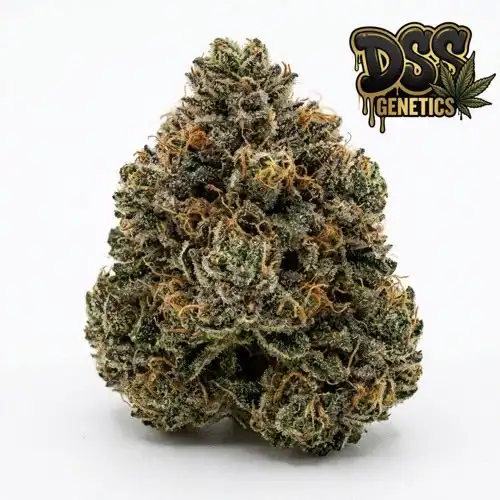 Triple XL grow guide