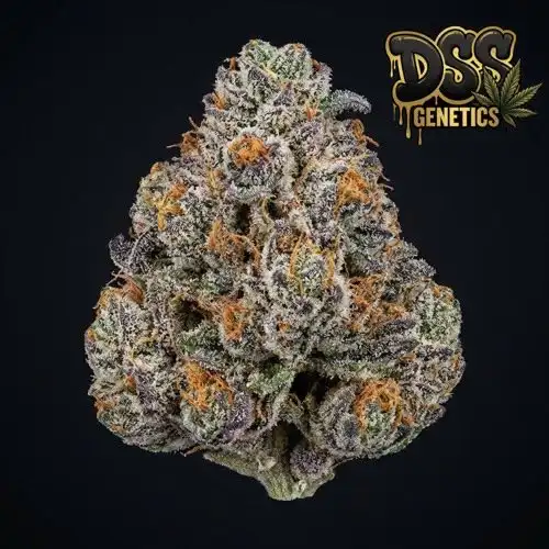 Tropicana Cookies grow guide