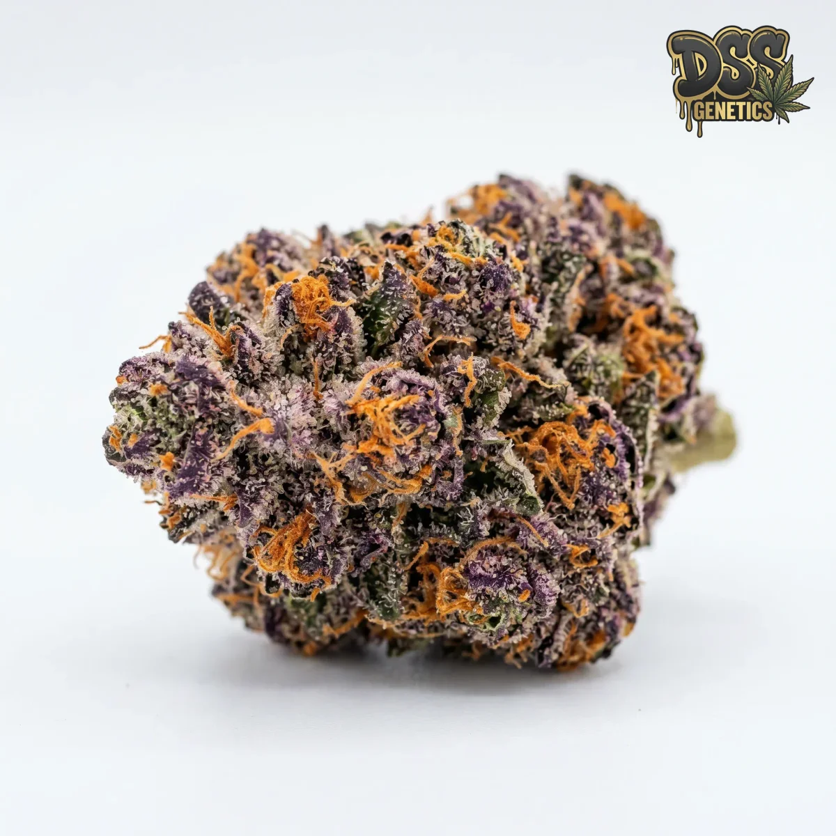 Tropicana Cookies grow guide