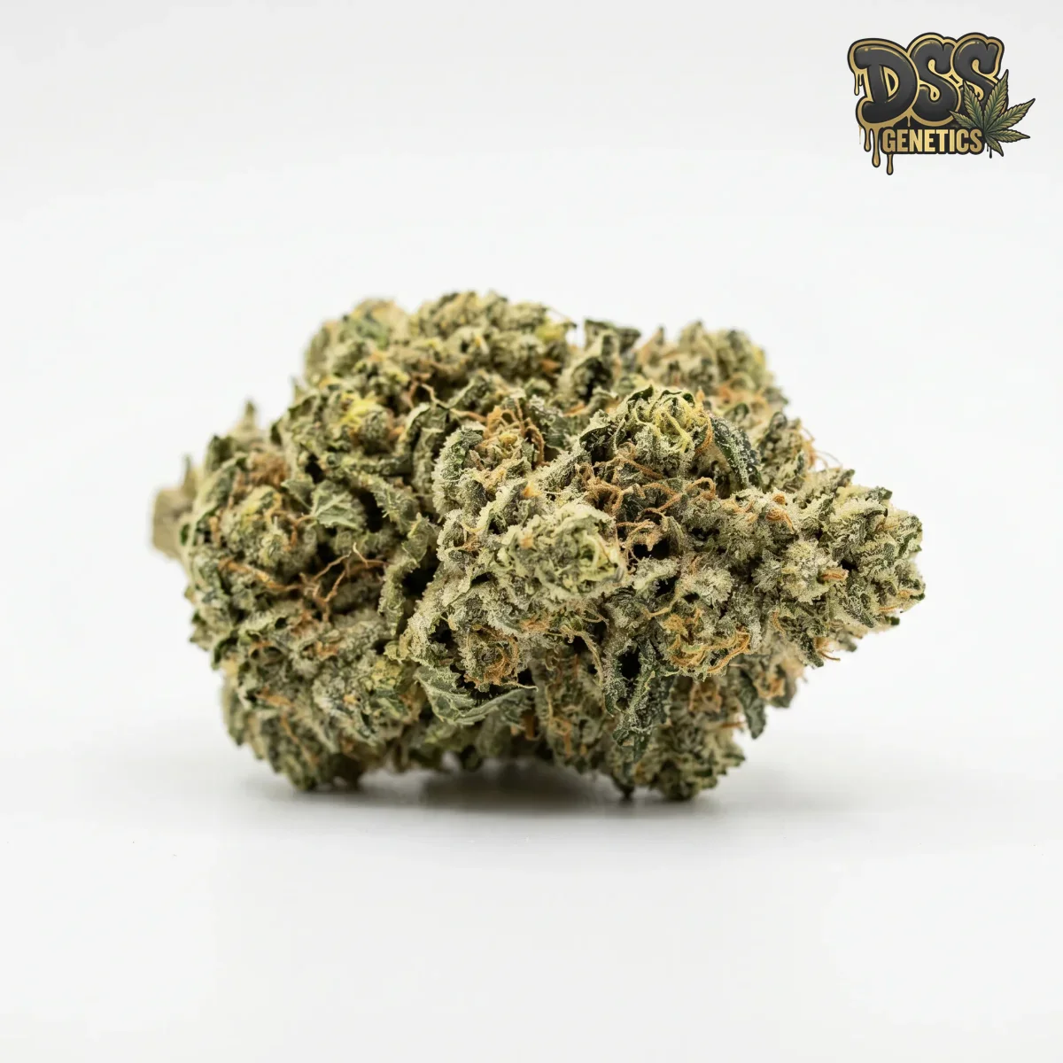 True OG grow guide