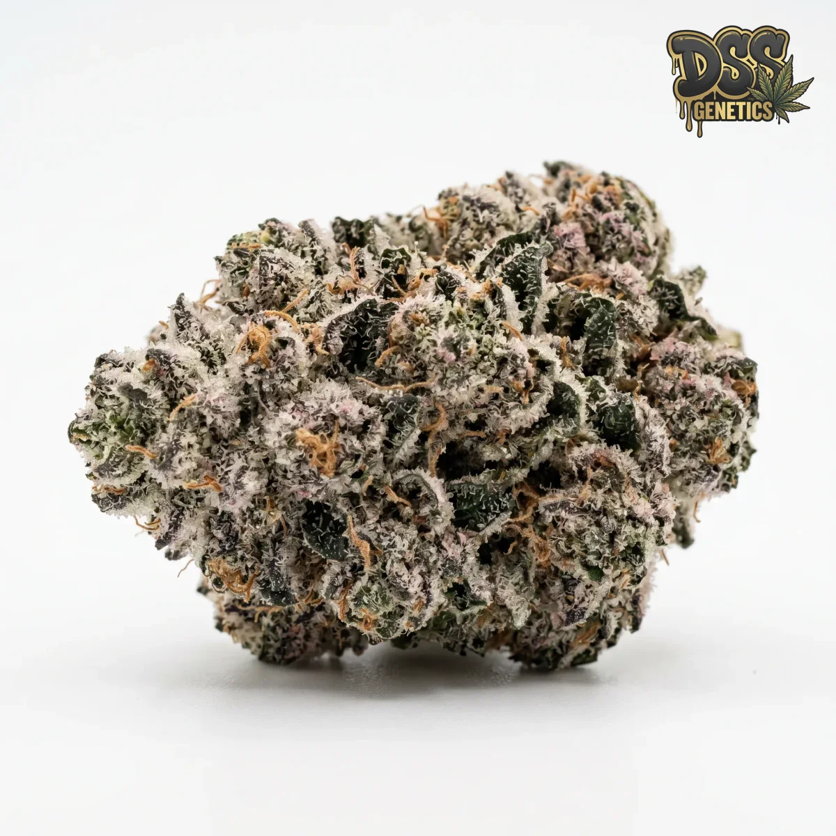 Wedding Cake Feminized Seeds cannabis seeds