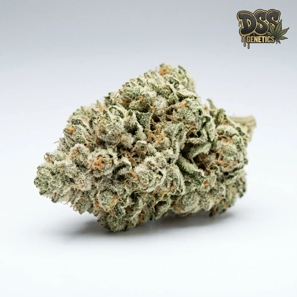 White Berry grow guide