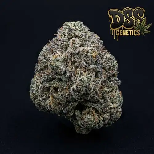 White Rhino grow guide