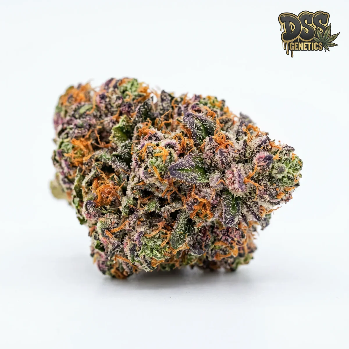 Zkittlez grow guide
